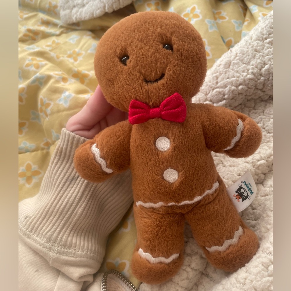 Ginger bread man jelly cat